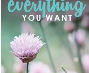 How to have what you want, made easy